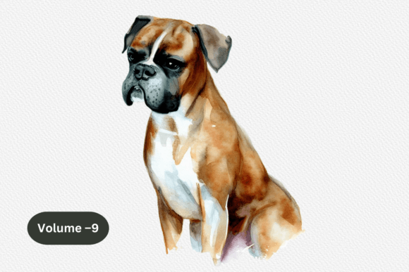 Boxer Dog Watercolor Clipart Png for Modern Graphics