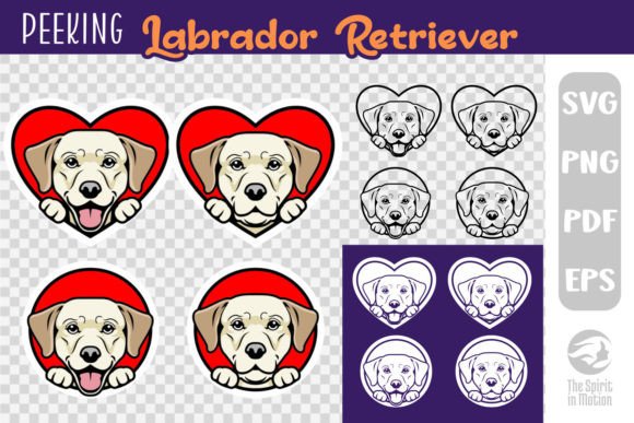 Peeking Labrador Valentine s Clipart for Modern Graphics and Illustrations